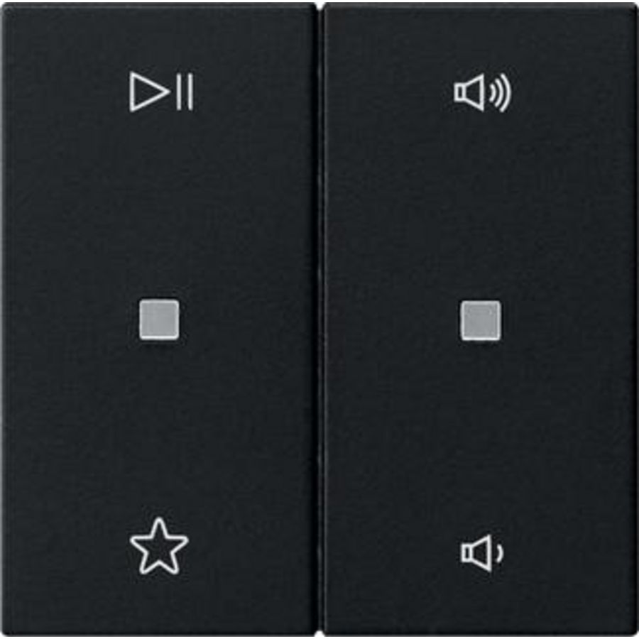 Wip 2-voudig audiobest. System 55 zwart m