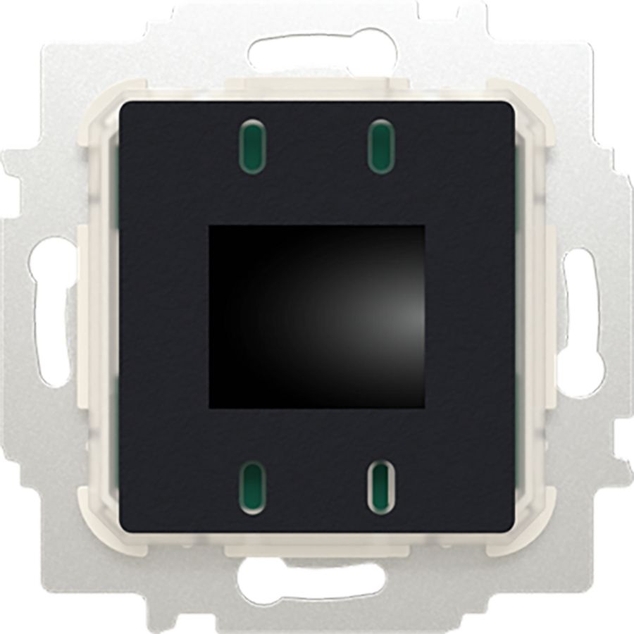 Ruimtethermostaat inb 24V AC BT