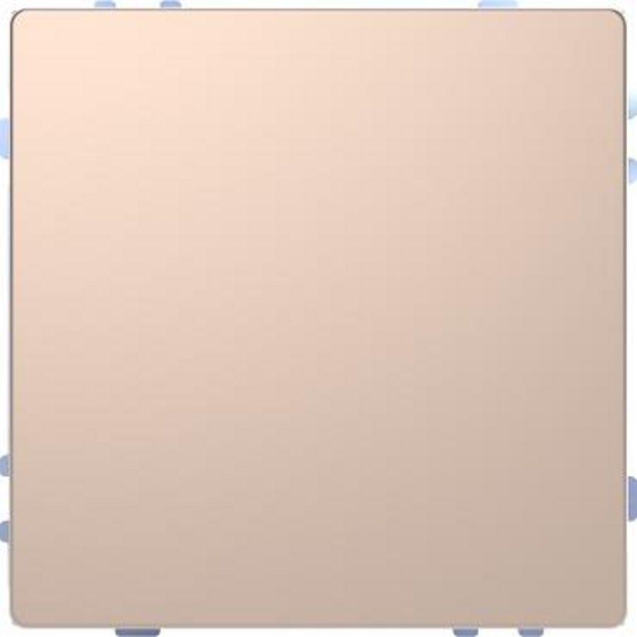 Drukknop Pro T Systeem Design Champagne metallic Mat Te