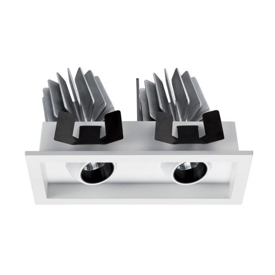 Downlight MYRIAD ADJ TWIN wit 2700K dim wit BZ