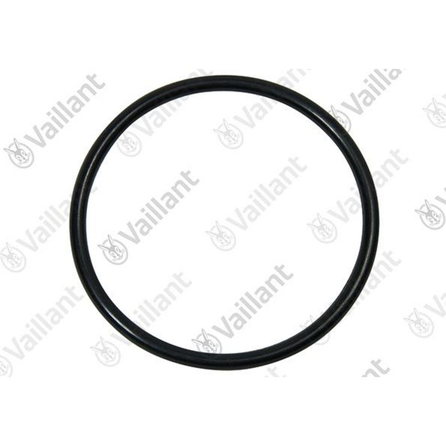 O-ring 0020123968