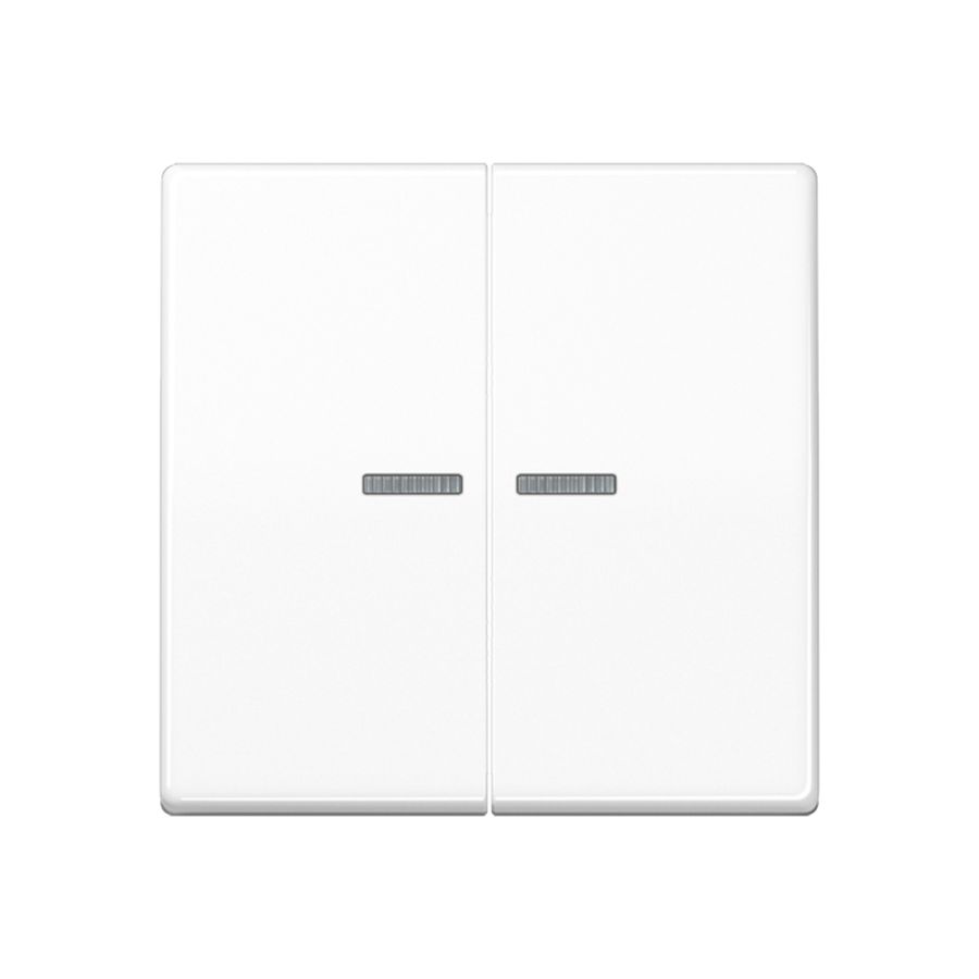 Tastafdekking 2voudig AS500 alpinwit KNX RF