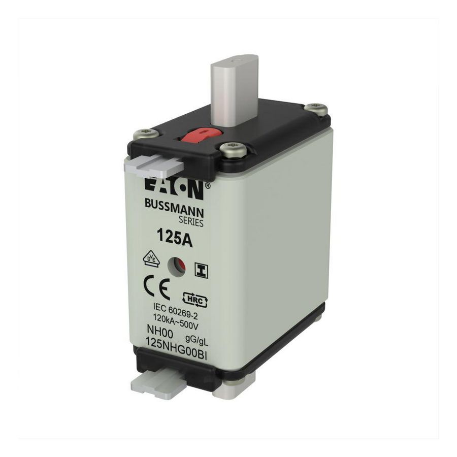 Zekering laagsp. 125A AC 500V NH00 gL/gG dubbele mel