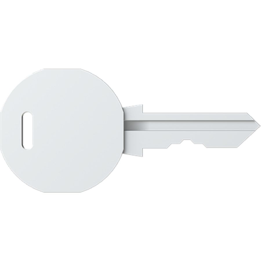 Sleutel V2432E (alleen voor eh-kasten) VVE=2