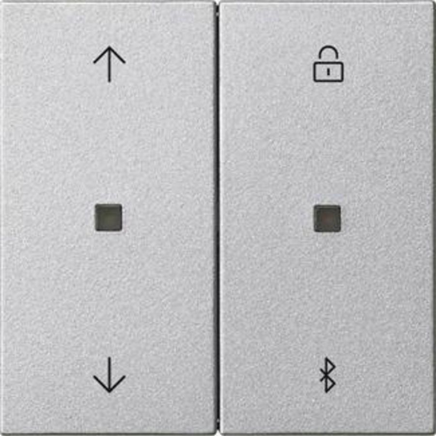 S3000 jl.-/schakelklok BT pijlen System 55 kl.alum.