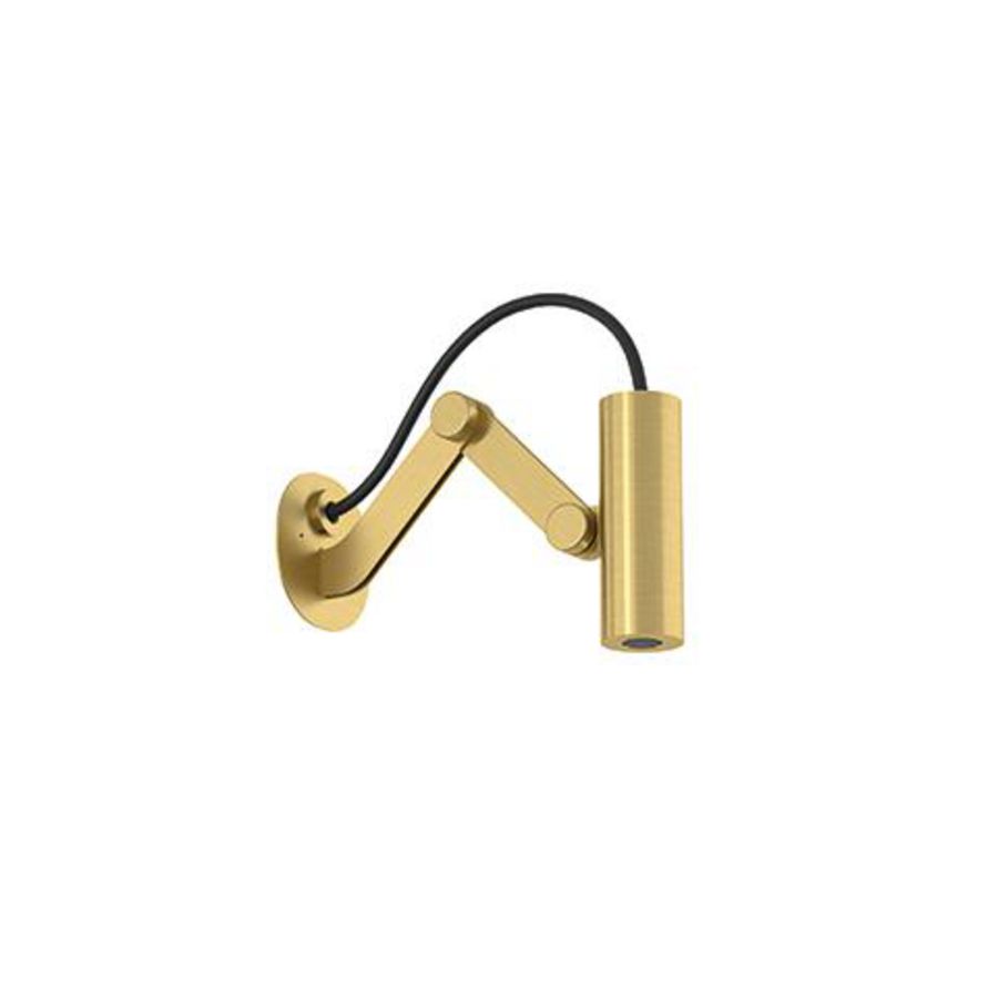 Asana Hoofddouche 50Mm Tube Flex B.Gold