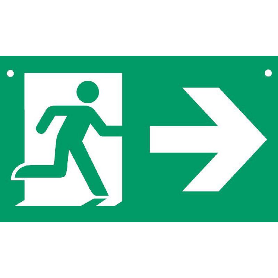 Pictogram noodverlichting LRE Smart