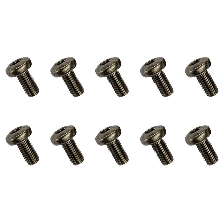 Set a 10st. Schroef M5x10mm ontsteekpen 0020018820