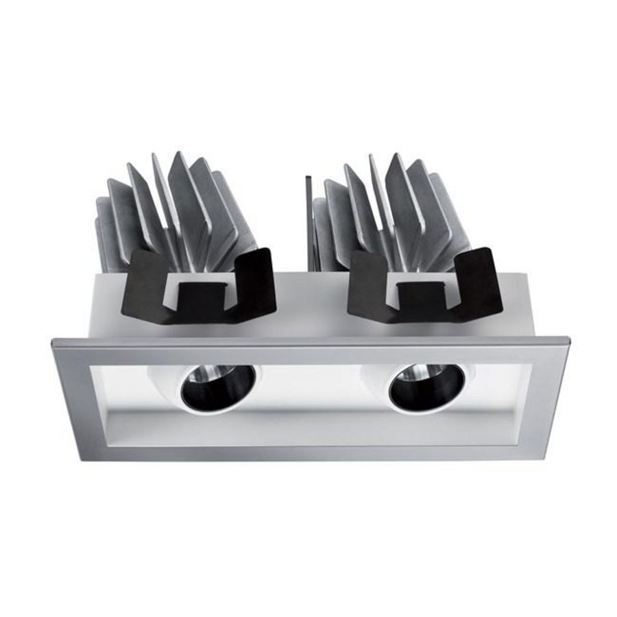 Downlight MYRIAD ADJ TWIN wit 3000K dim zilver BZ