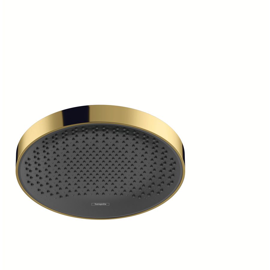 Hoofddouche Rainfinity 360 1 straalsoort plafond polished gold optic