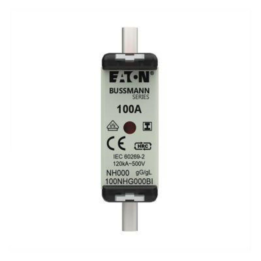 Zekering laagsp. 100A AC 500V NH000 gL/gG dubbele me VVE=3
