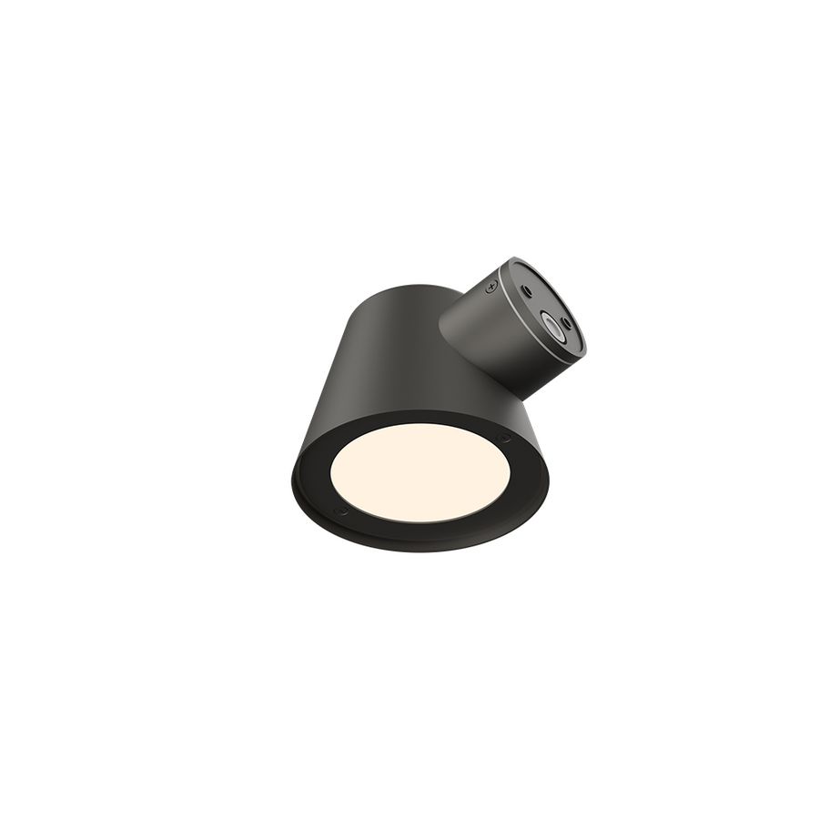 Wandlamp LED 008 3000K + 4000k Geborsteld metal black