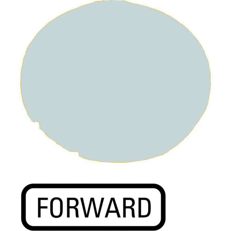 Lenzen vlak wit "forward"