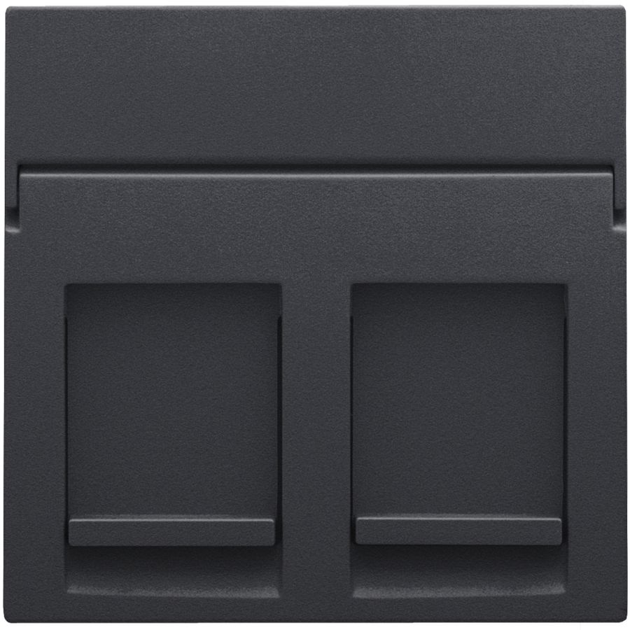 Centraalplaat data 2x RJ anthracite