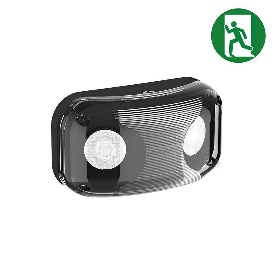 Noodverlichting IP65 4W auto test zwart