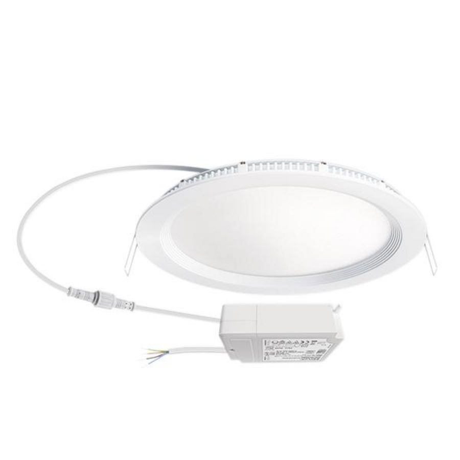 Downlight ELSA-2 DL 225 OP 110° 1800 830 DALI WH