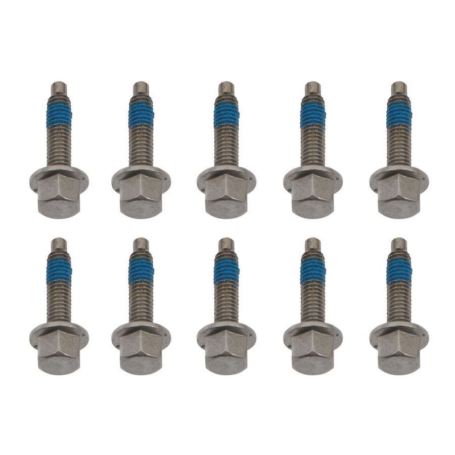 Set a 10st. Schroef 0020195533