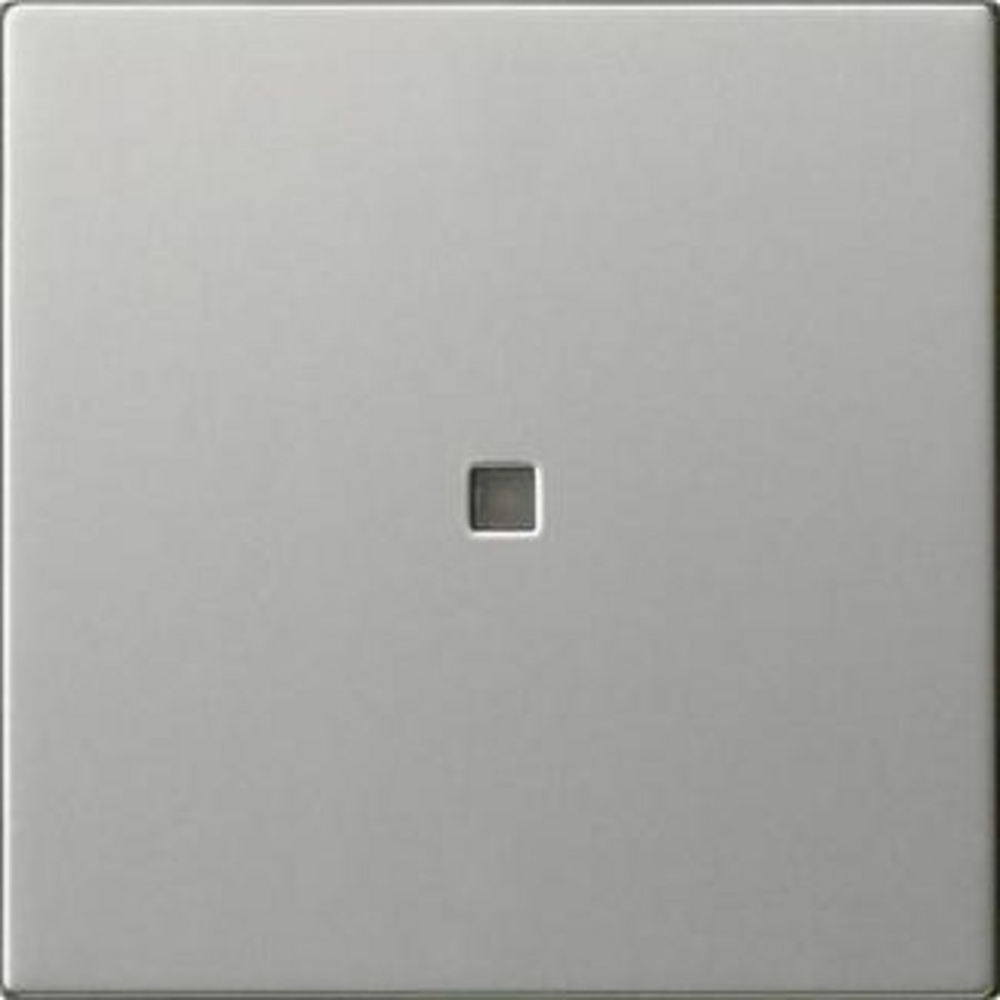 Wip 1-v onbedrukt ctrl.v. System 55 edelstaal