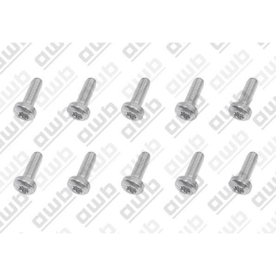 Set a 10st. Schroef 0020195516