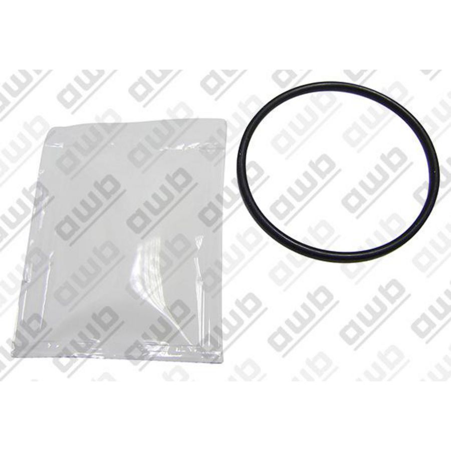 O-ring 0020195587