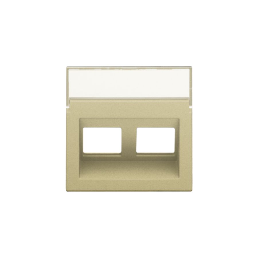Centraalplaat data 2x RJ schuine uitgang gold coated