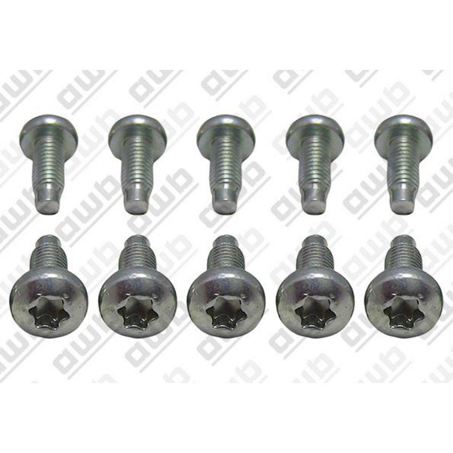 Set a 10st. Schroef 0020195526