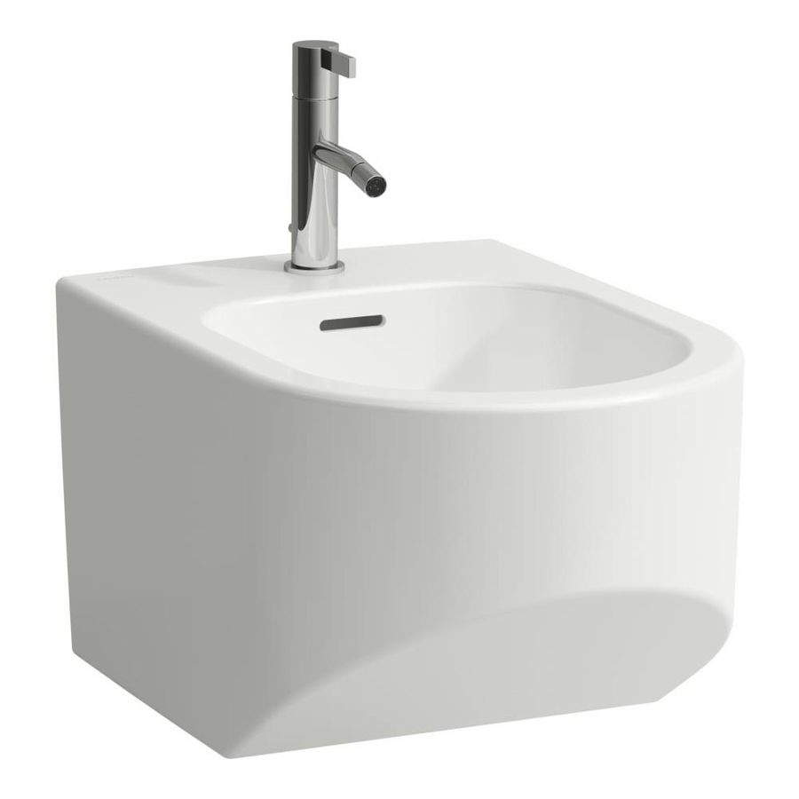 Wandbidet 1 Kraangat Met Overloop wit