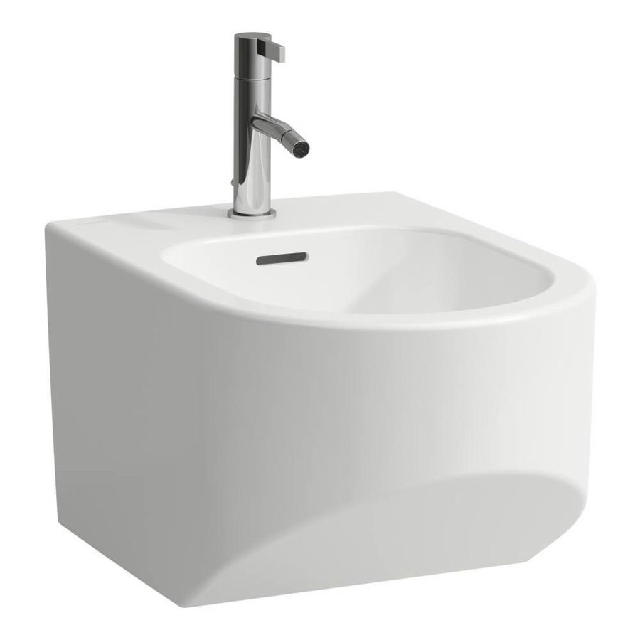Wandbidet 1 Kraangat Met Overloop Lccb