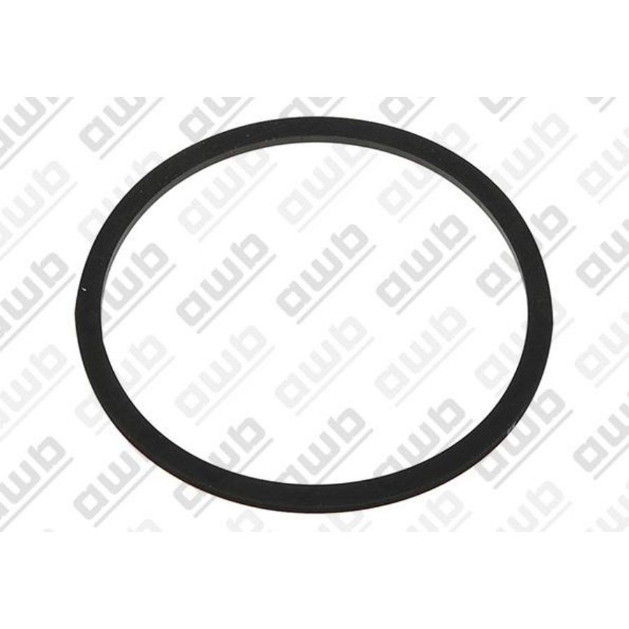 O-ring 0020221829