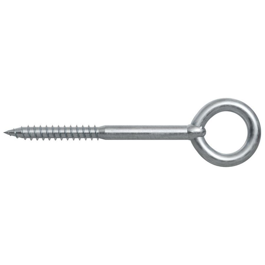 Oogschroef GS 10x160 VVE=20