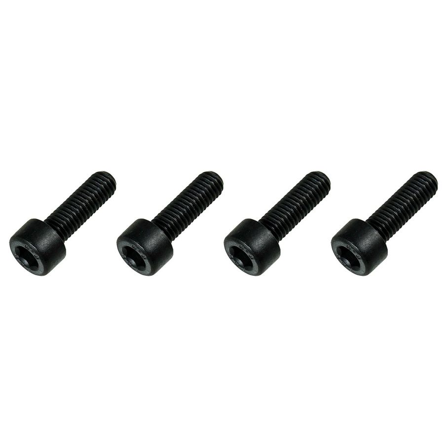 Schroef pomp (x4) 0020207143