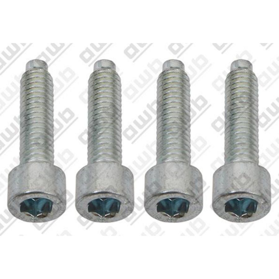 Schroef pomp (x4) 0020207139