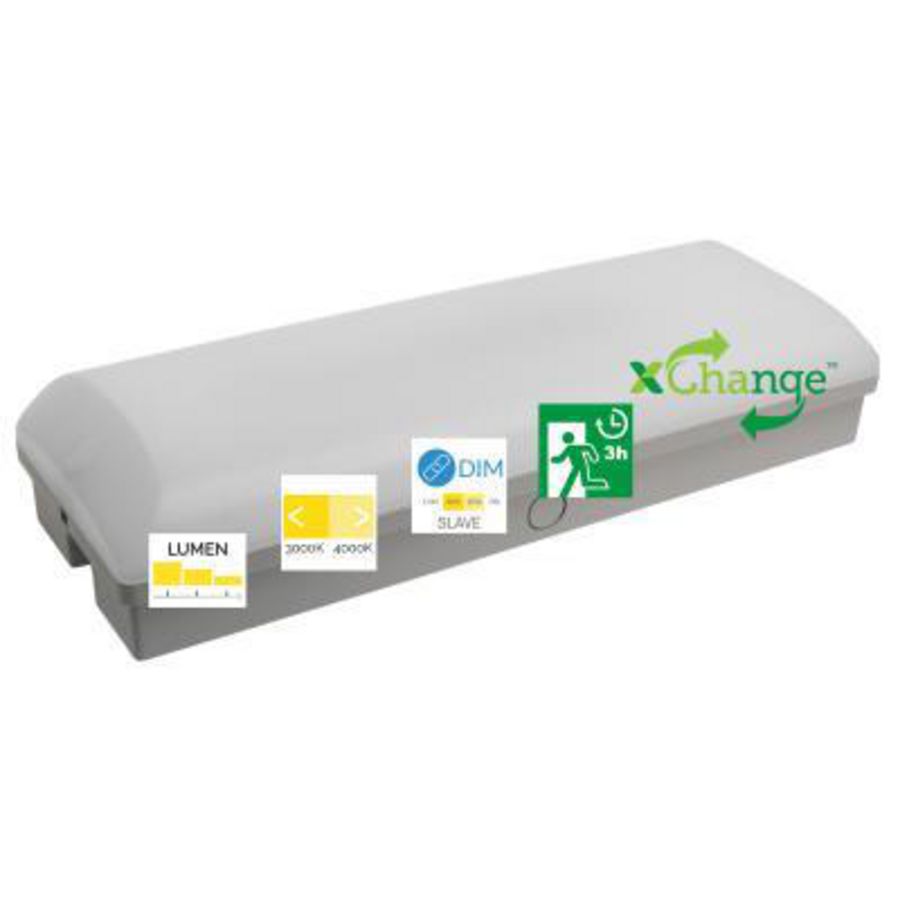 Portiekverlichting RENZO PORTAL met noodvoeding
