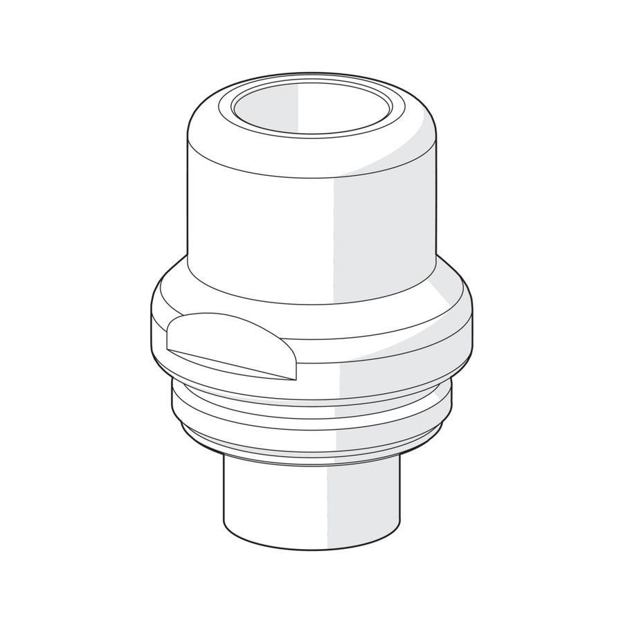 Spindellichaam