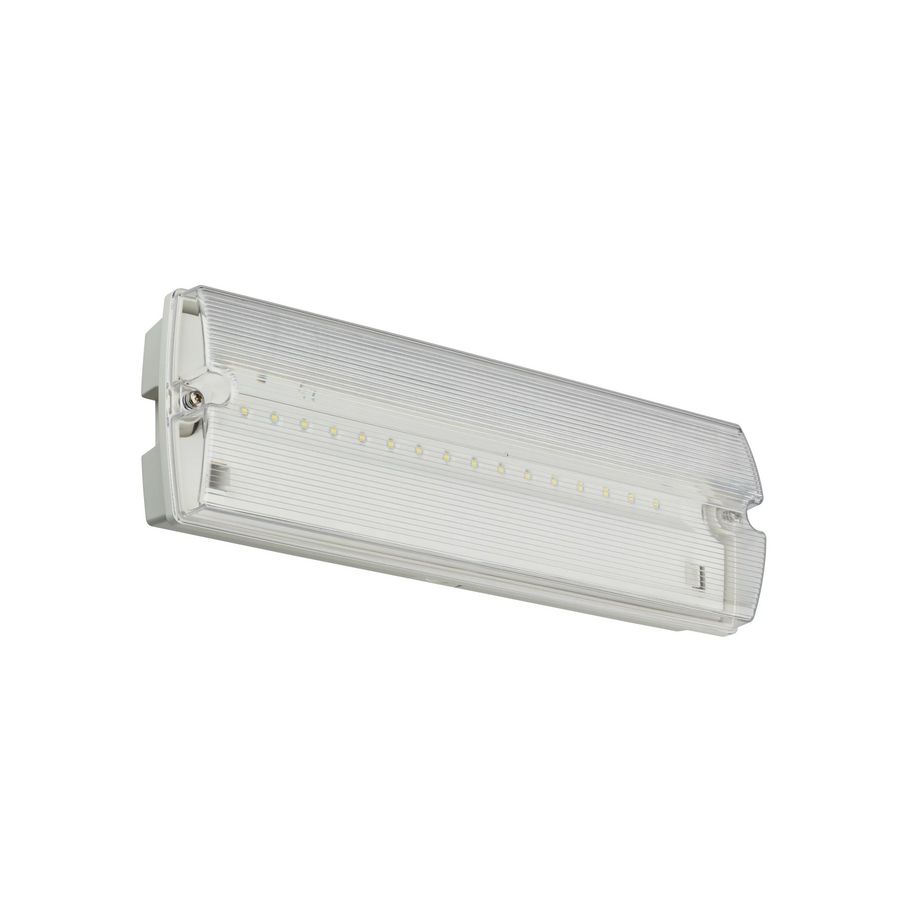 Doos a 10st. EM153C SM BKD EXIT SIGN M3 ELP IP65