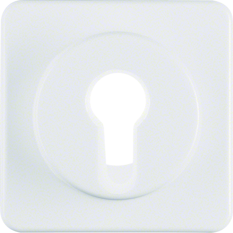 Afdekraam voor sleutelschakelaar/-impulsdrukker IP44 inbouw