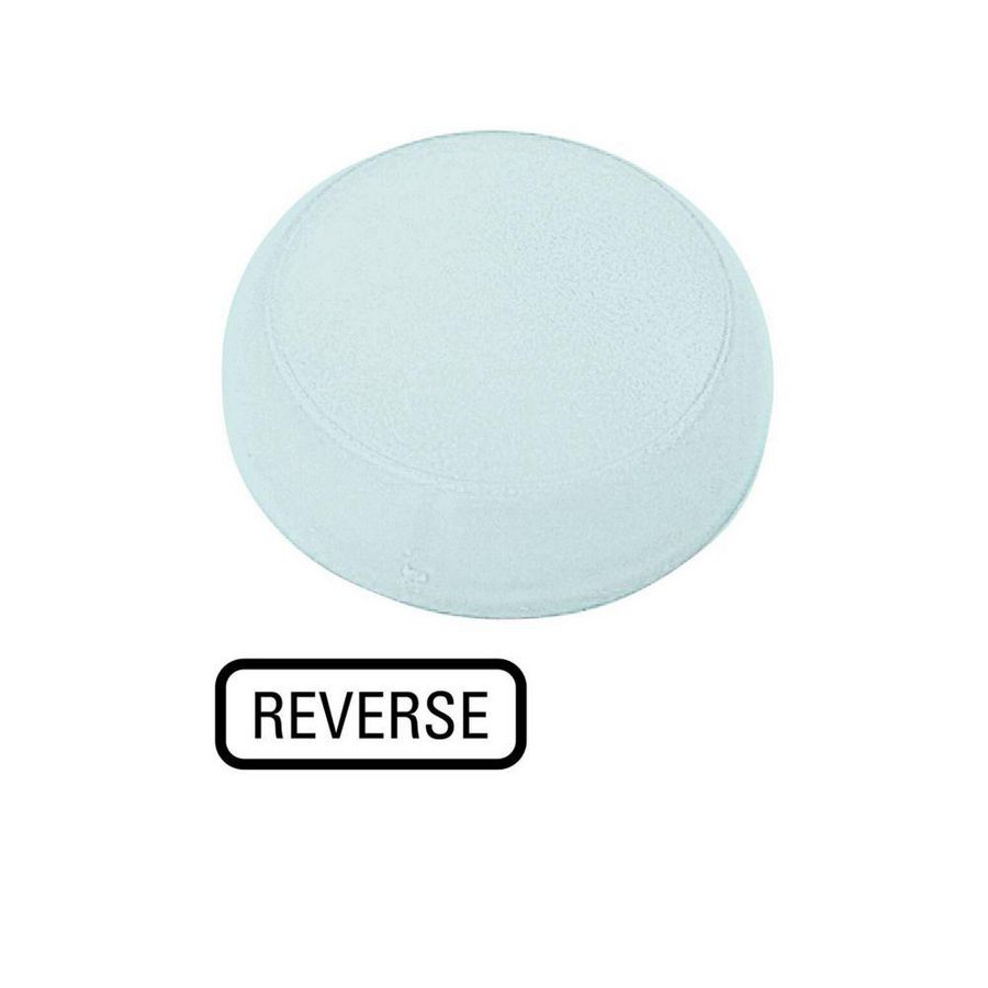 Lens signaallamp wit vlak "reverse"