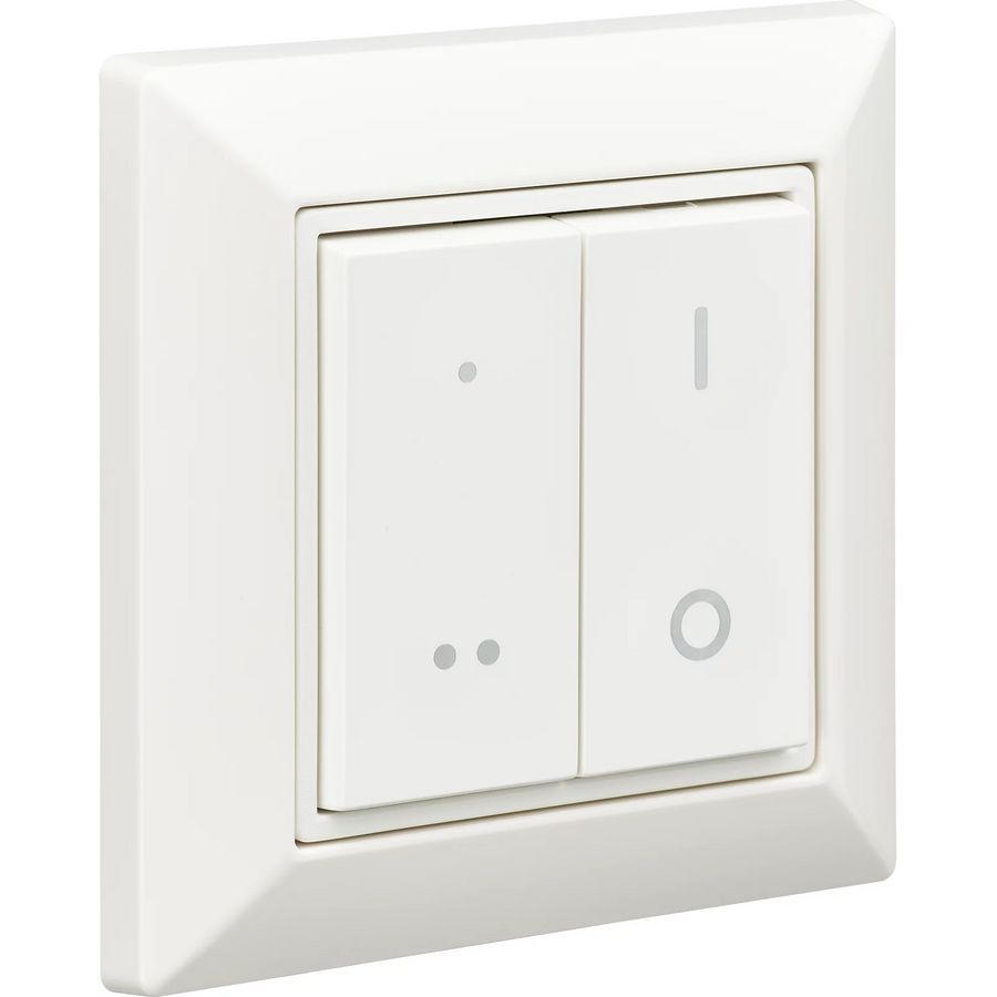 Doos a 50st. UID8480/10 ZGP Switch Dim 4B