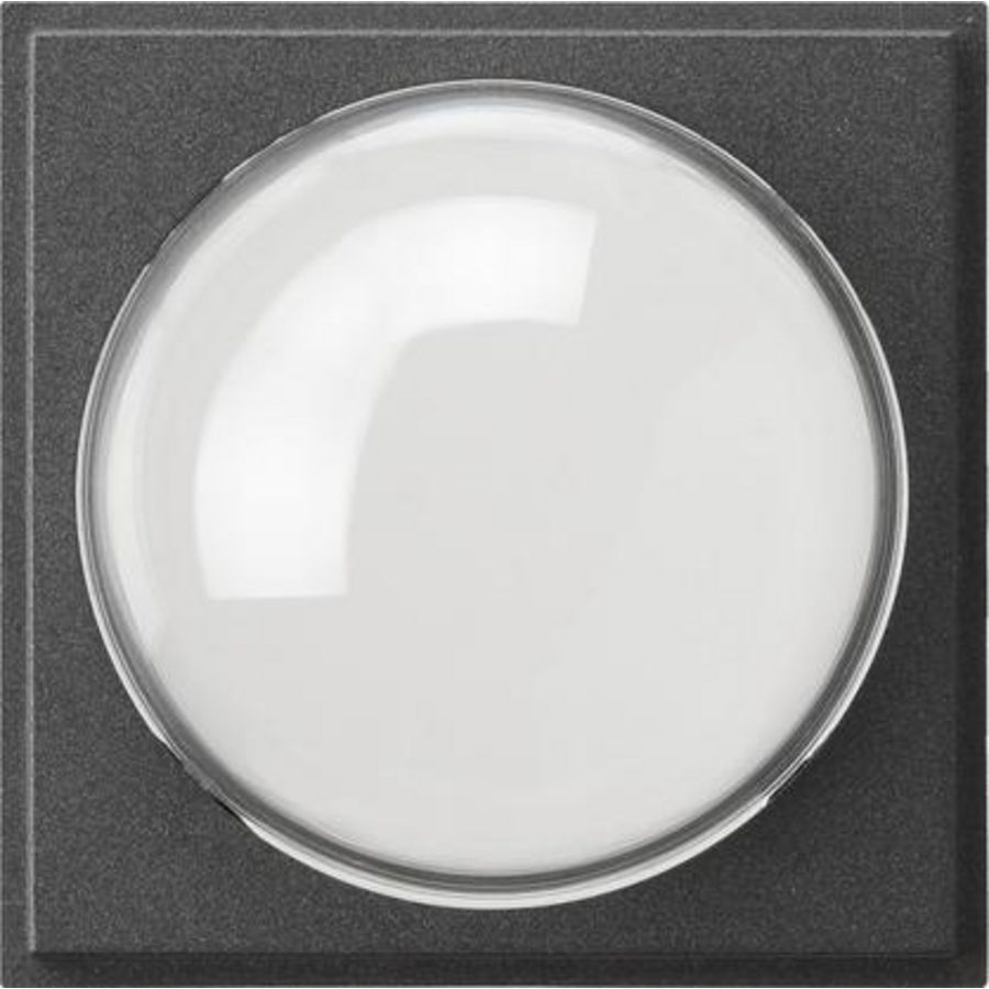 Afdekking kleurencamera Gira TX_44 antraciet