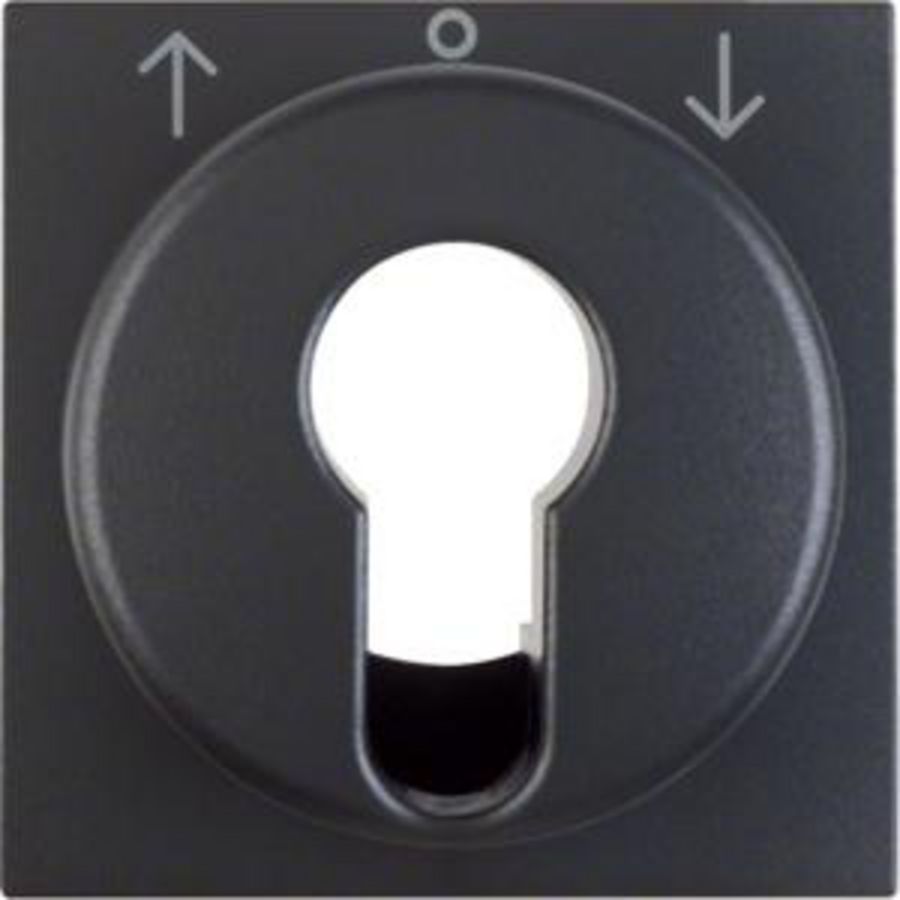 Centraaldoos sleutelcil. jaloezie berker S.1/B.3/B.7 antraciet