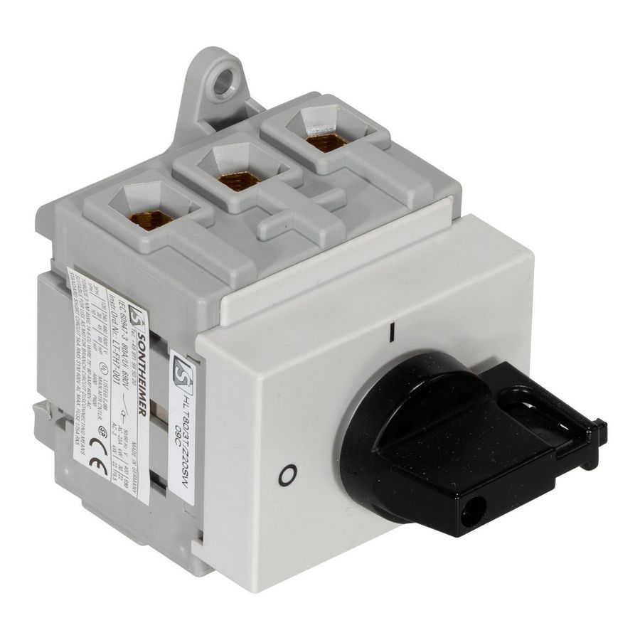 Hoofdschakelaar 80A 3-polig DIN-rail montage A531685