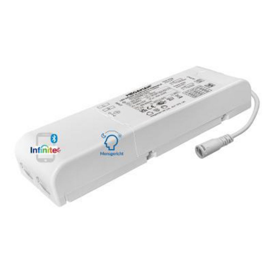 INFINITE DRIVER 250-550mA