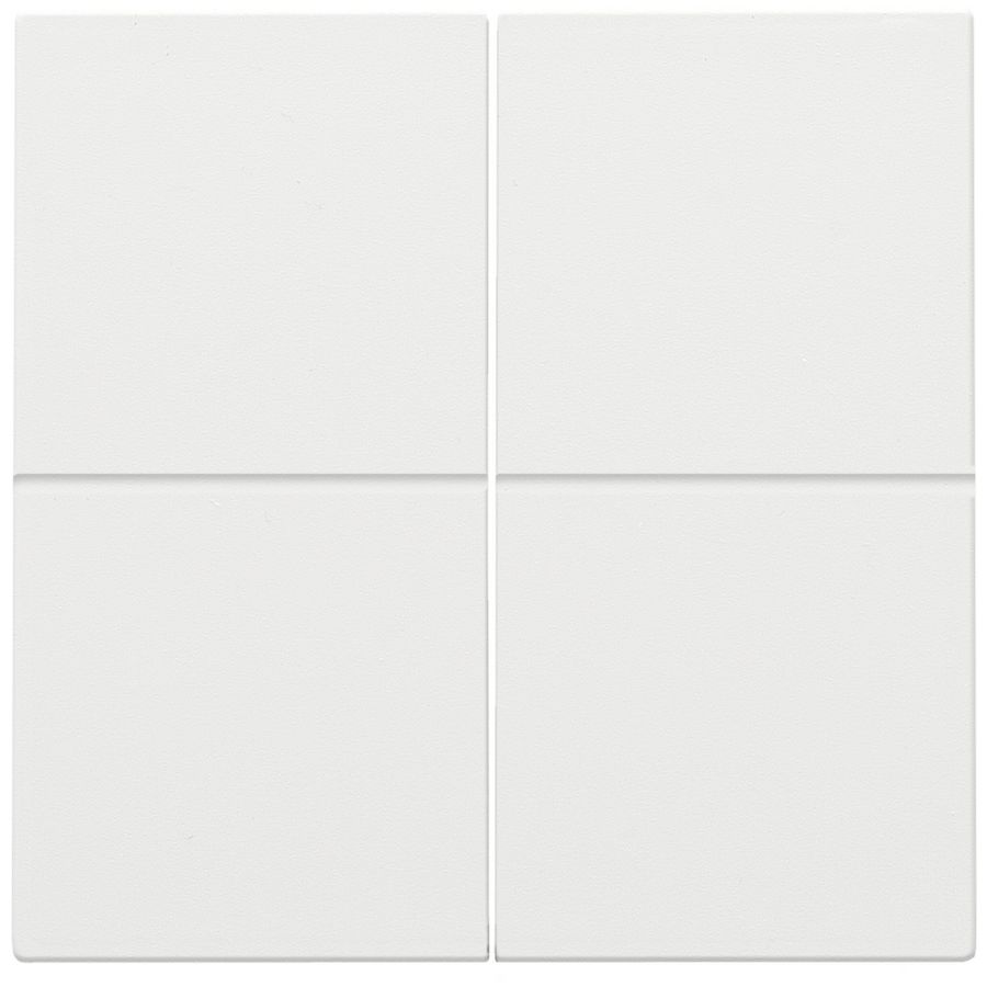 2-voudige toets RF dimschakelaar Hue BT EnOcean KNX white c.