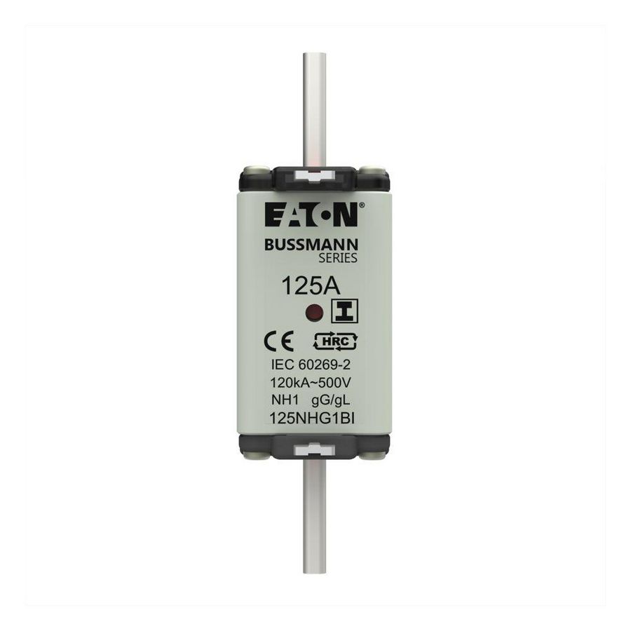 Zekering laagsp. 125A AC 500V NH1 gL/gG dubbele meld VVE=3