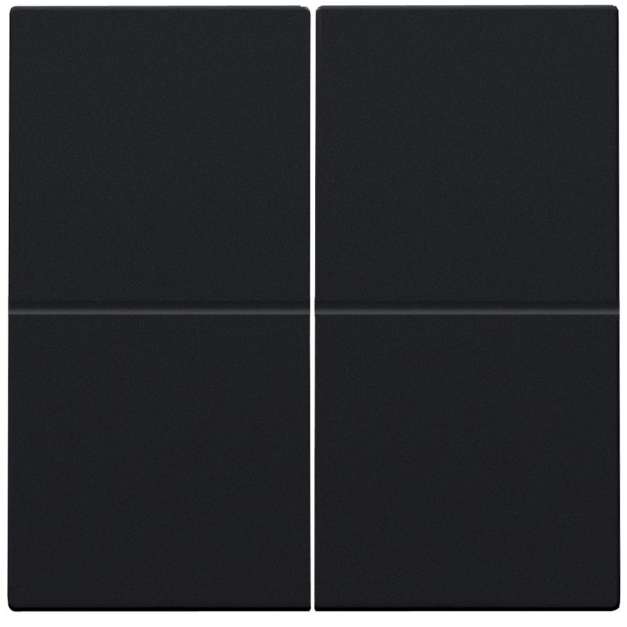 2-voudige toets RF dimschakelaar Hue BT EnOcean KNX black