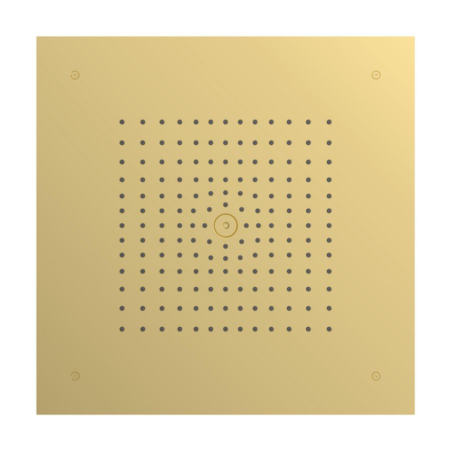Hoofddouche 400 1 straalsoort EcoSmart plafond inbouw Polished Gold Optic Raindance E