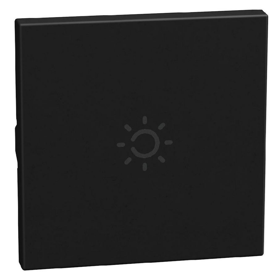 Light Now axiale toets met pictogram lamp 2 modules - zwart