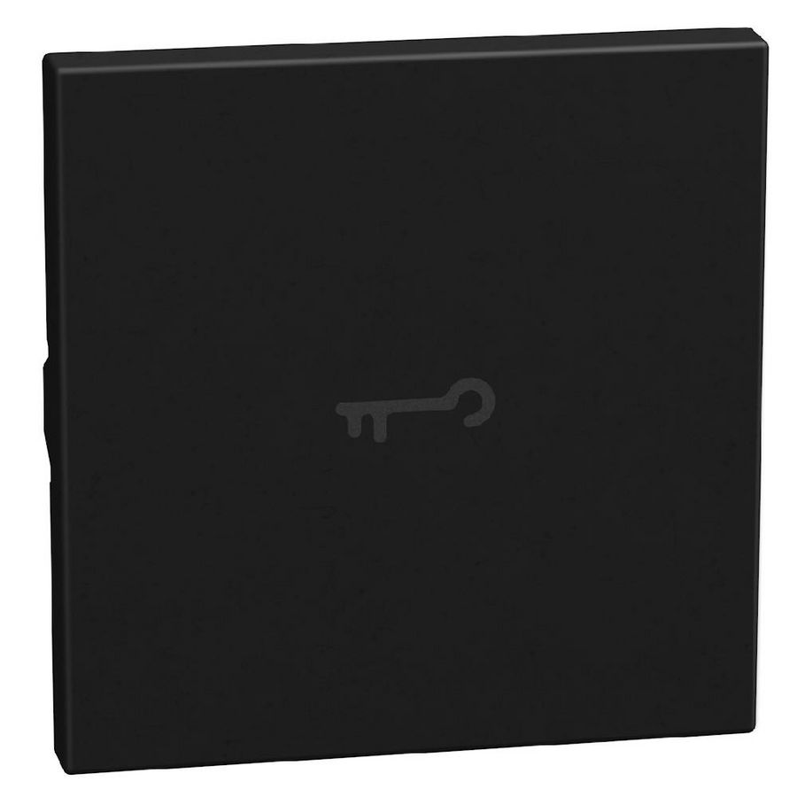 Light Now axiale toets met pictogram sleutel 2 modules - zwa