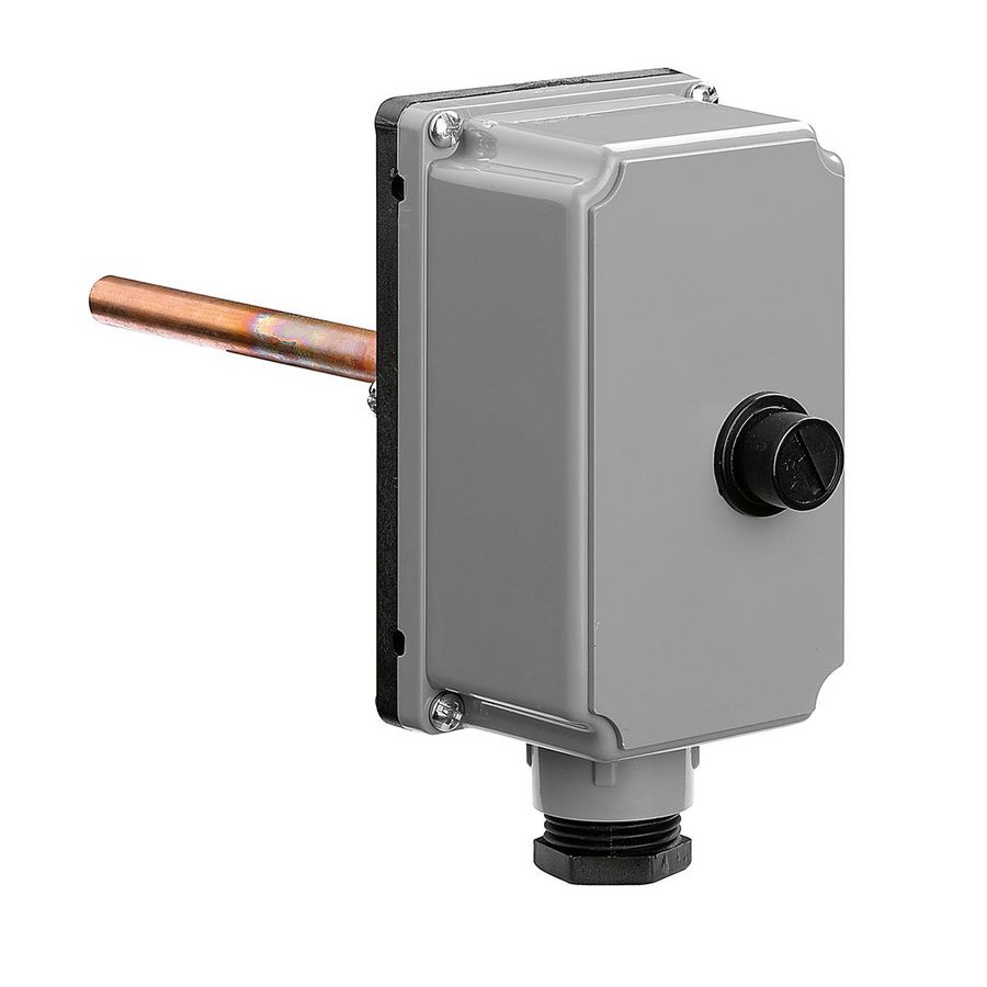 Veiligheidsthermostaat met dompelbuis 100°C. 1/2"