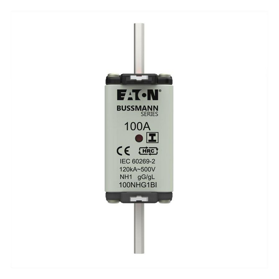 Zekering laagsp. 100A AC 500V NH1 gL/gG dubbele meld VVE=3